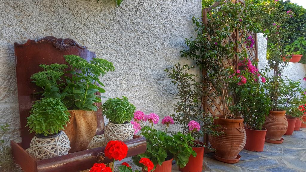 Eva'S House Mouresi Βίλα Εξωτερικό φωτογραφία