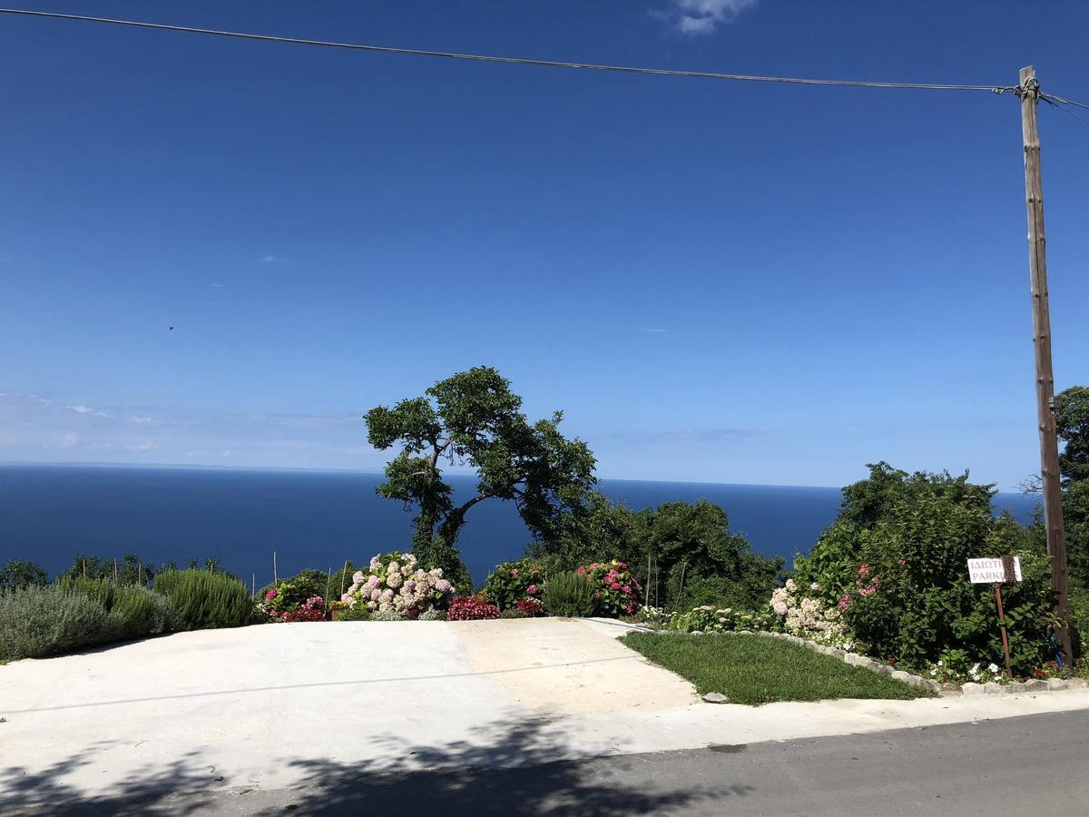 Eva'S House Mouresi Βίλα Εξωτερικό φωτογραφία