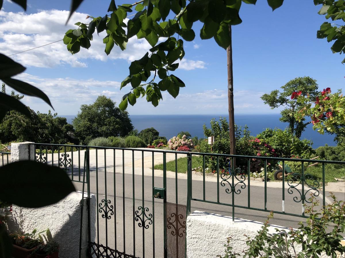 Eva'S House Mouresi Βίλα Εξωτερικό φωτογραφία